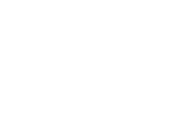 Vector